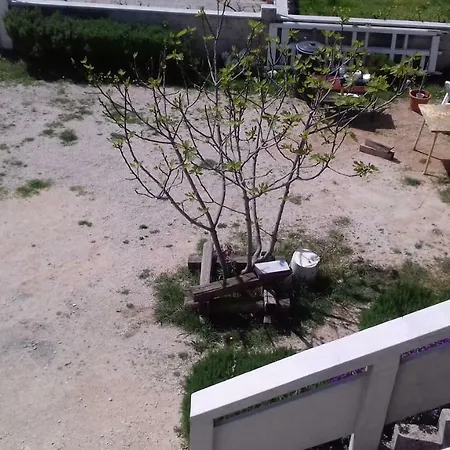 Appartamento Zlatoperka